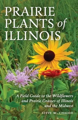 Prärie-Pflanzen von Illinois: Ein Feldführer zu den Wildblumen und Präriegräsern von Illinois und dem Mittleren Westen - Prairie Plants of Illinois: A Field Guide to the Wildflowers and Prairie Grasses of Illinois and the Midwest