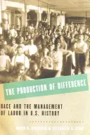 Die Produktion von Unterschieden: Ethnie und das Management von Arbeit in der Geschichte der Vereinigten Staaten - The Production of Difference: Race and the Management of Labor in U.S. History