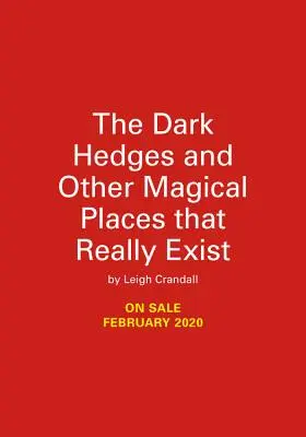 Dunkle Hecken, die Insel der Zauberer und andere magische Orte, die es wirklich gibt - Dark Hedges, Wizard Island, and Other Magical Places That Really Exist