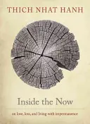 Im Inneren des Jetzt: Meditationen über die Zeit - Inside the Now: Meditations on Time