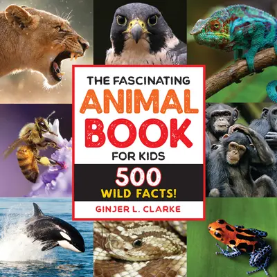 Das faszinierende Tierbuch für Kinder: 500 wilde Fakten! - The Fascinating Animal Book for Kids: 500 Wild Facts!