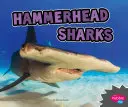 Hammerhaie - Hammerhead Sharks