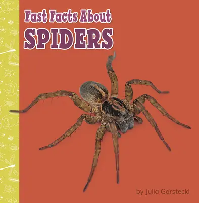 Schnelle Fakten über Spinnen - Fast Facts about Spiders