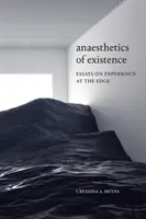 Anästhesie des Daseins: Essays über Erfahrungen am Rande - Anaesthetics of Existence: Essays on Experience at the Edge