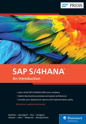 SAP S/4hana: Eine Einführung - SAP S/4hana: An Introduction