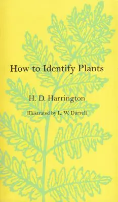 Wie man Pflanzen identifiziert - How To Identify Plants