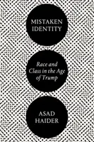 Falsche Identität: Ethnie und Klasse im Zeitalter von Trump - Mistaken Identity: Race and Class in the Age of Trump