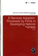 Einführung von elektronischen Dienstleistungen: Prozesse bei Unternehmen in Entwicklungsländern - E-Services Adoption: Processes by Firms in Developing Nations