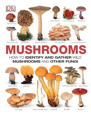 Pilze: Wie man Wildpilze und andere Pilze erkennt und sammelt - Mushrooms: How to Identify and Gather Wild Mushrooms and Other Fungi