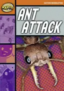 Schnelles Lesen: Ameisenangriff (Stufe 4, Niveau 4B) - Rapid Reading: Ant Attack (Stage 4, Level 4B)