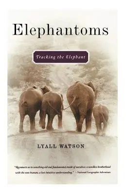 Elefantenträume: Auf den Spuren des Elefanten - Elephantoms: Tracking the Elephant