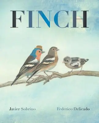 Fink - Finch