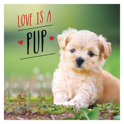 Liebe ist ein Welpe: Eine hunde-tastische Feier der süßesten Welpen der Welt - Love Is a Pup: A Dog-Tastic Celebration of the World's Cutest Puppies