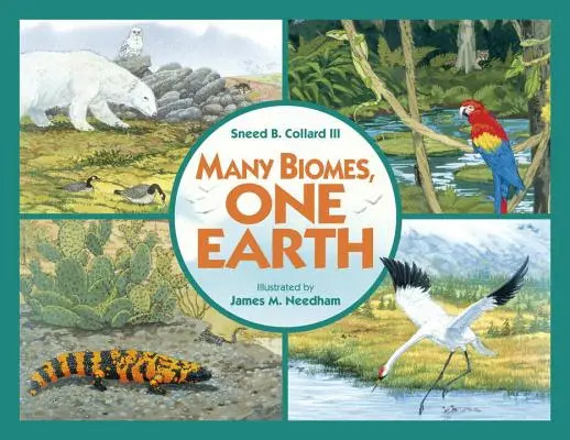 Viele Biome, eine Erde Fachbuch - Many Biomes, One Earth Trade Book