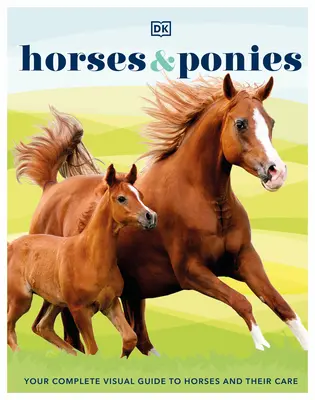 Pferde & Ponys - Horses & Ponies