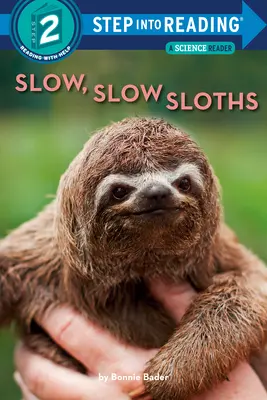 Langsam, langsam Faultiere - Slow, Slow Sloths