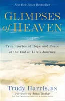 Blicke in den Himmel: Wahre Geschichten von Hoffnung und Frieden am Ende des Lebensweges - Glimpses of Heaven: True Stories of Hope and Peace at the End of Life's Journey