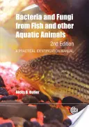 Bakterien und Pilze aus Fischen und anderen Wassertieren: Ein praktisches Handbuch zur Identifizierung - Bacteria and Fungi from Fish and Other Aquatic Animals: A Practical Identification Manual