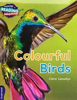 Cambridge Reading Adventures Lila Band Pack - Cambridge Reading Adventures Purple Band Pack