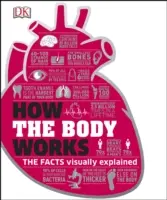 Wie der Körper funktioniert - Die Fakten einfach erklärt - How the Body Works - The Facts Simply Explained