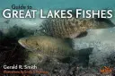 Führer zu den Fischen der Großen Seen - Guide to Great Lakes Fishes