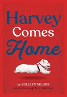 Harvey kommt nach Hause - Harvey Comes Home