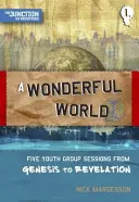 Eine wunderbare Welt: Buch 1: Fünf Jugendgruppensitzungen von der Genesis bis zur Offenbarung - A A Wonderful World: Book 1: Five Youth Group Sessions from Genesis to Revelation