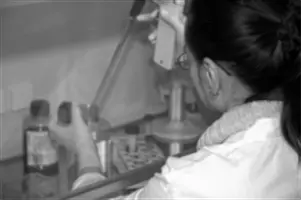 Biokapital: Die Verfassung des postgenomischen Lebens - Biocapital: The Constitution of Postgenomic Life