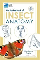 Taschenbuch der Insektenanatomie - Pocket Book of Insect Anatomy