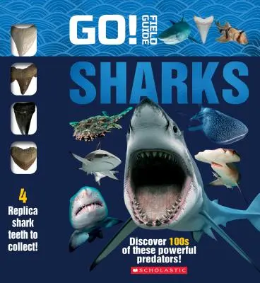 Los! Feldführer: Haie - Go! Field Guide: Sharks