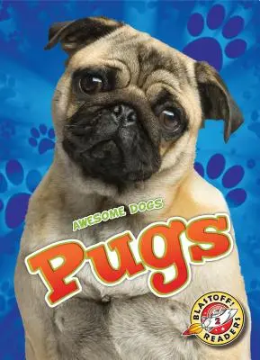 Möpse - Pugs