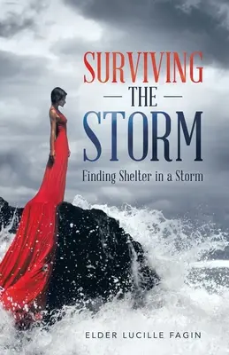 Den Sturm überleben: Schutz im Sturm finden - Surviving the Storm: Finding Shelter in a Storm