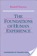 Die Grundlagen der menschlichen Erfahrung: (cw 293 & 66) - The Foundations of Human Experience: (cw 293 & 66)