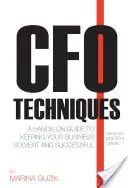 CFO-Techniken: Ein praktischer Leitfaden zur Erhaltung der Zahlungsfähigkeit und des Erfolgs Ihres Unternehmens - CFO Techniques: A Hands-On Guide to Keeping Your Business Solvent and Successful