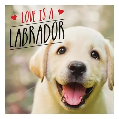 Liebe ist ein Labrador - Eine labeltastische Feier des beliebtesten Hundes der Welt - Love is a Labrador - A Lab-Tastic Celebration of the World's Favourite Dog