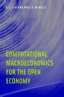 Computergestützte Makroökonomie für die offene Wirtschaft - Computational Macroeconomics for the Open Economy