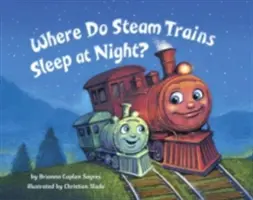 Wo schlafen Dampfloks nachts? - Where Do Steam Trains Sleep at Night?