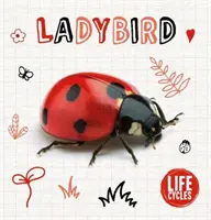 Marienkäfer - Ladybird