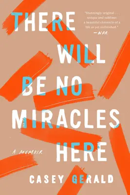 Hier wird es keine Wunder geben: Ein Memoir - There Will Be No Miracles Here: A Memoir