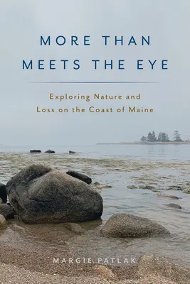 Mehr als das Auge fassen kann: Die Erforschung von Natur und Verlust an der Küste von Maine - More Than Meets the Eye: Exploring Nature and Loss on the Coast of Maine