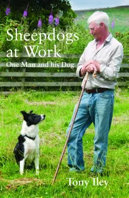 Hirtenhunde bei der Arbeit: Ein Mann und seine Hunde - Sheepdogs at Work: One Man and His Dogs