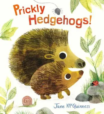 Stachelige Igel! - Prickly Hedgehogs!