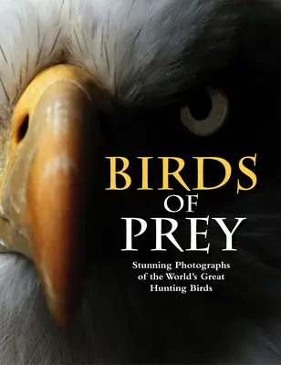 Raubvögel: Atemberaubende Fotografien der größten Jagdvögel der Welt - Birds of Prey: Stunning Photographs of the World's Great Hunting Birds