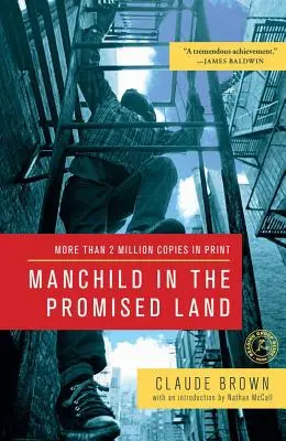 Menschenkind im gelobten Land - Manchild in the Promised Land