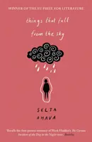 Dinge, die vom Himmel fallen: Auf der Longlist für den International Dublin Literary Award, 2021 - Things That Fall from the Sky: Longlisted for the International Dublin Literary Award, 2021
