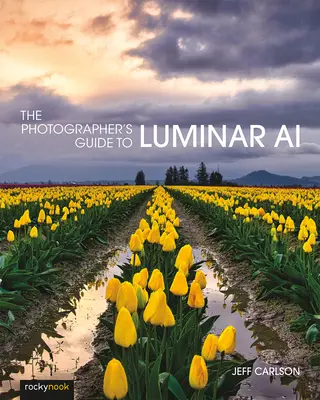 Der Leitfaden für Fotografen zu Luminar AI - The Photographer's Guide to Luminar AI