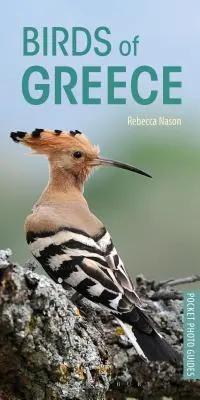 Vögel in Griechenland - Birds of Greece