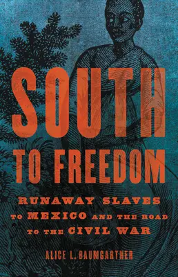 Nach Süden in die Freiheit: Entlaufene Sklaven nach Mexiko und der Weg zum Bürgerkrieg - South to Freedom: Runaway Slaves to Mexico and the Road to the Civil War
