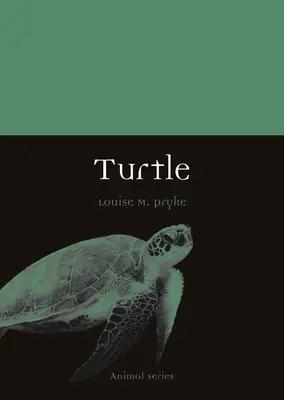 Schildkröte - Turtle