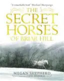 Die geheimen Pferde von Briar Hill - Secret Horses of Briar Hill